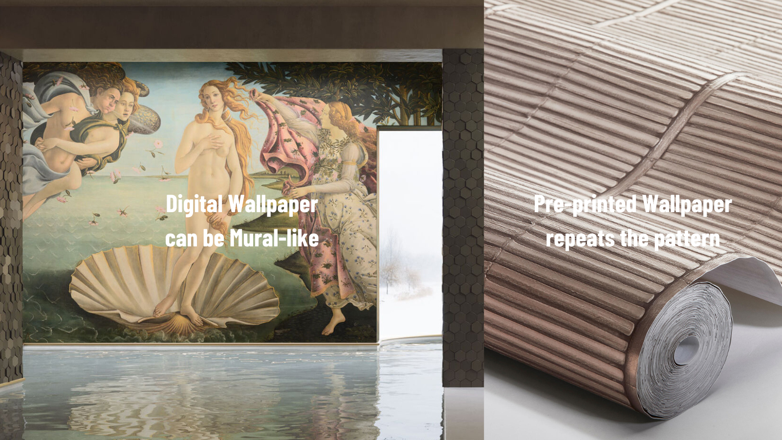 Digital Wallpaper 101: A Primer on What You Can Expect