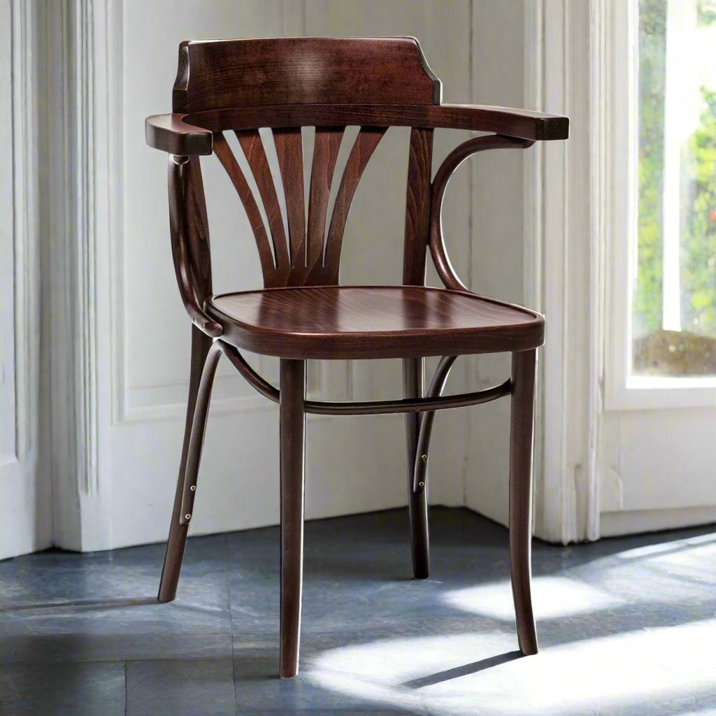 25 Dining Chair (with arms)-Ton-moderndesign.io