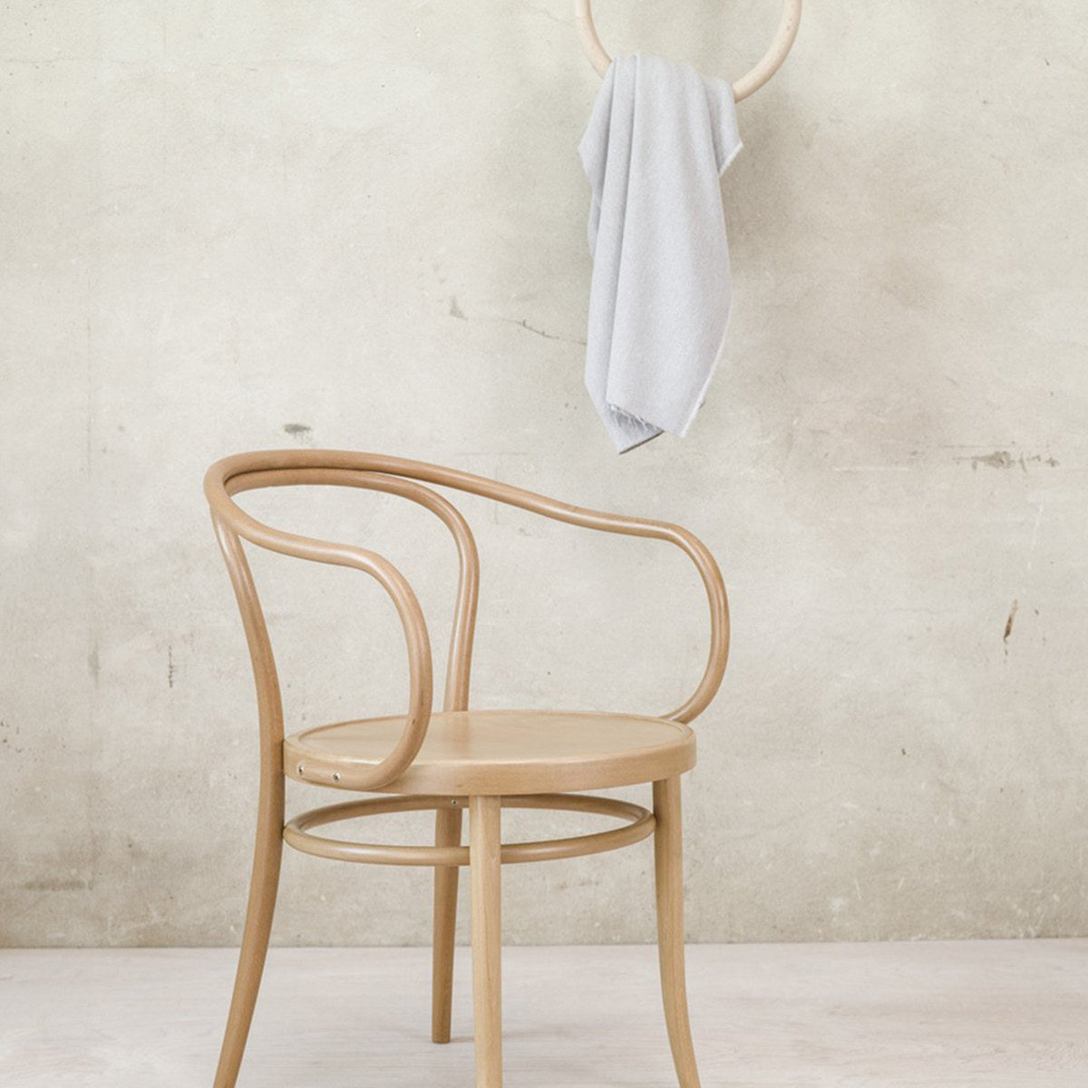 33 Dining Chair (with arms)-Ton-moderndesign.io