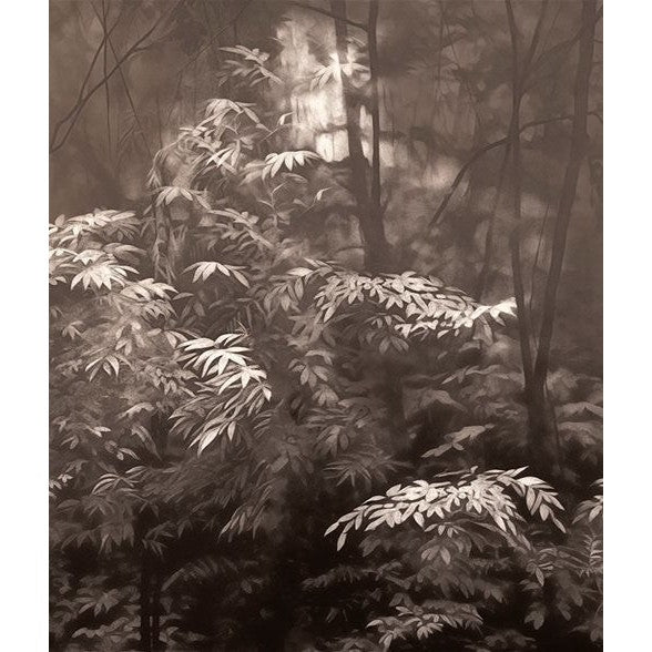 Into The Woods-London Art-moderndesign.io