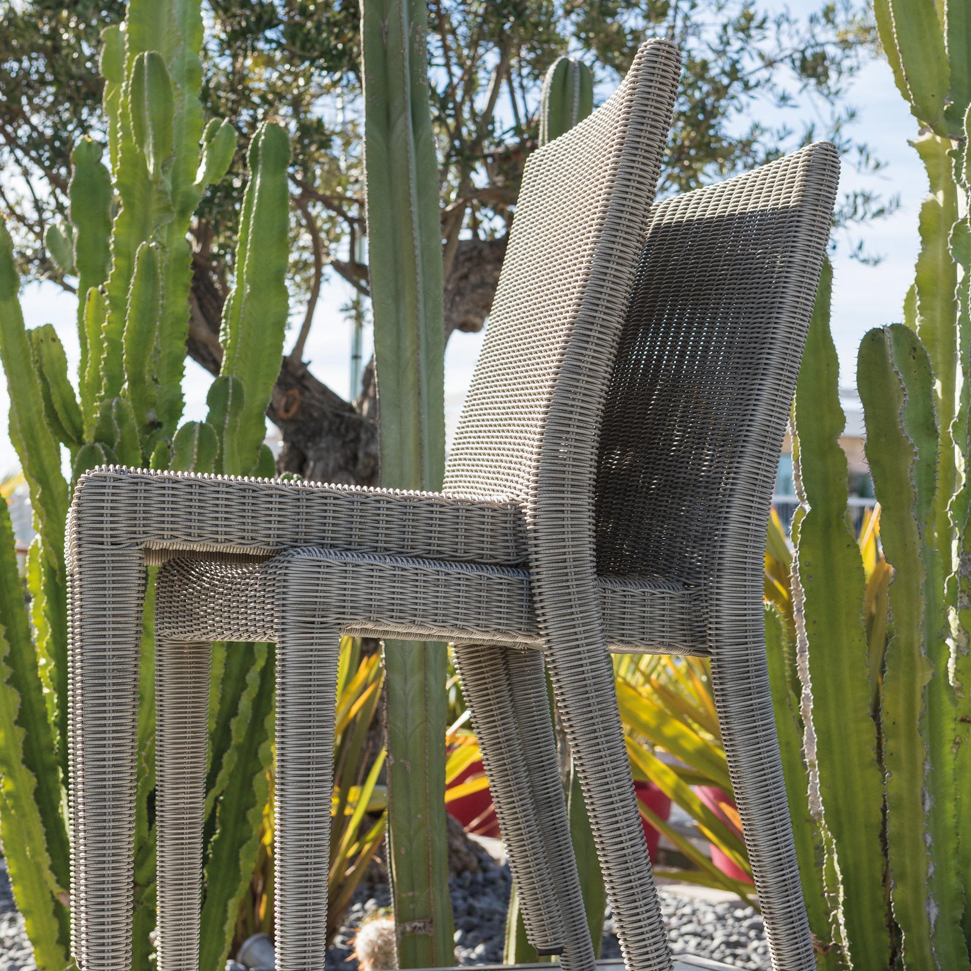 Agora Dining Chair (without arms)-Unopiu-moderndesign.io