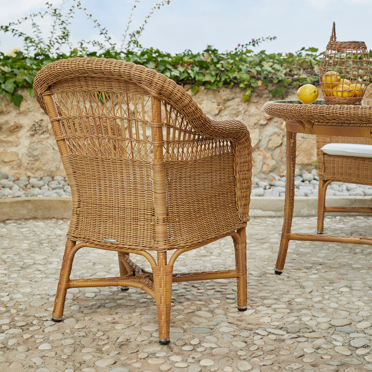 Alga Dining Chair (with arms)-Point-moderndesign.io
