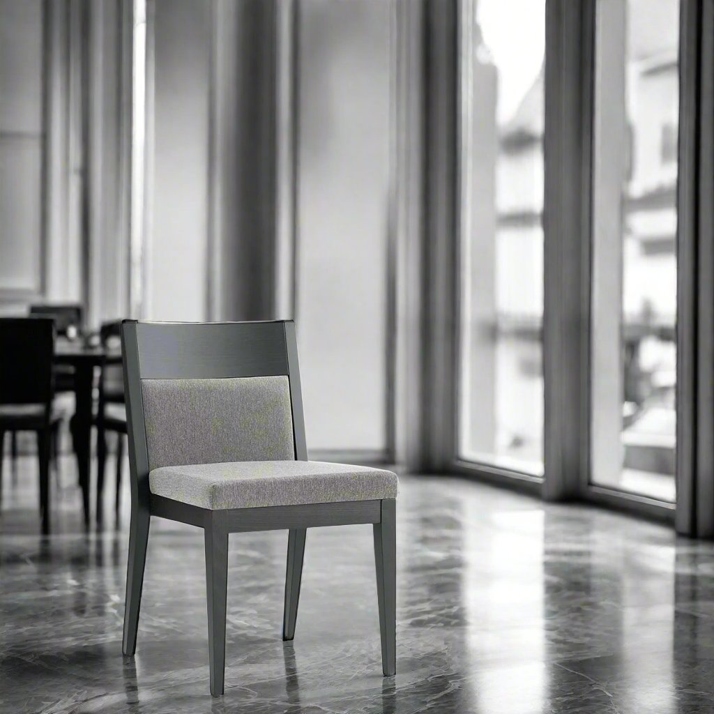 Aloe S1/S1 STK Dining Chair (Without Arms)-Accento-moderndesign.io