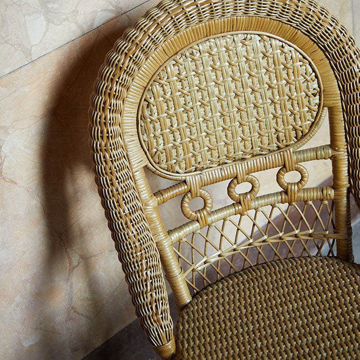 Antica Dining Chair (Without Arms) - Indoor-Bonacina 1889-moderndesign.io