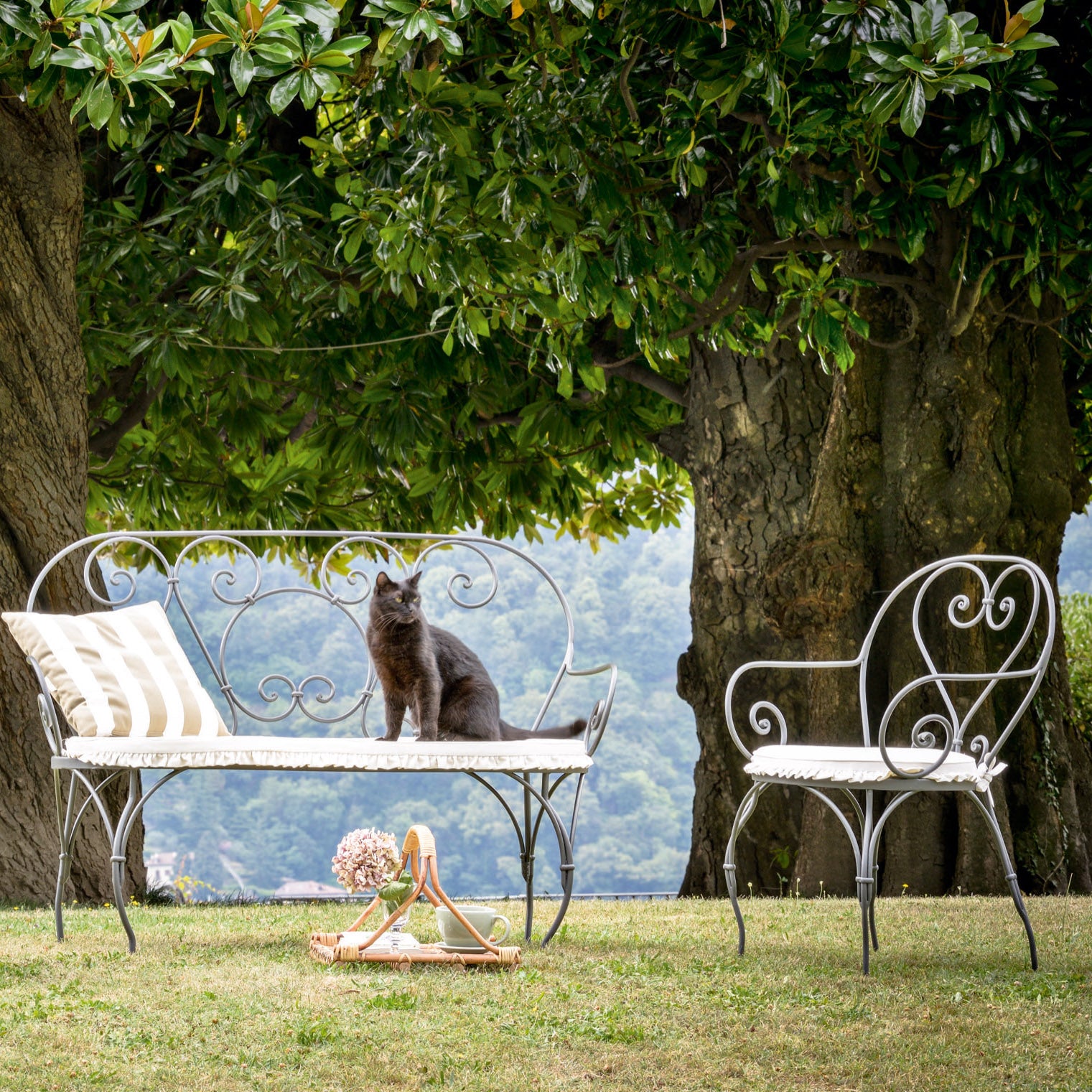 Aurora Dining Chair (with arms)-Unopiu-moderndesign.io