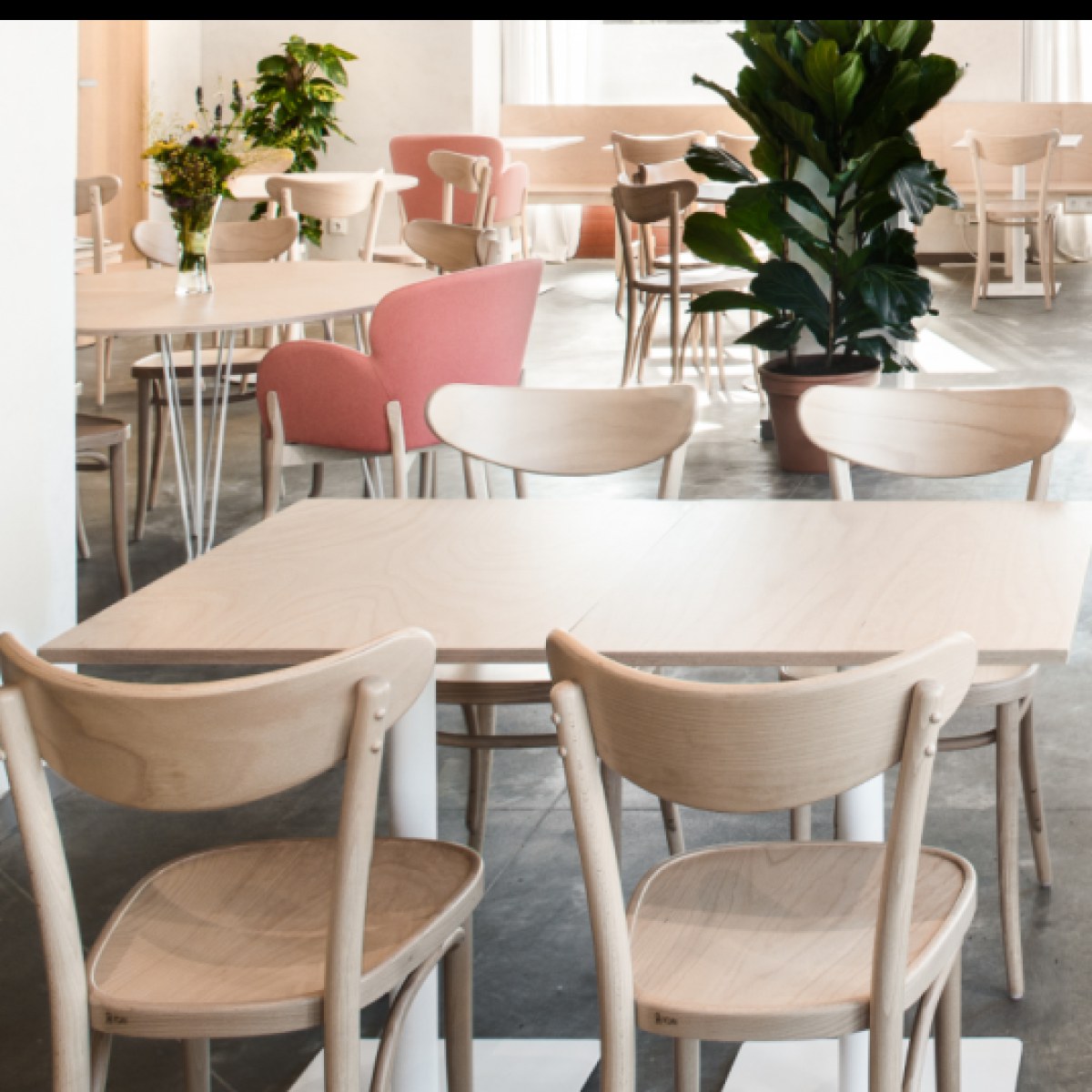 Banana Dining Chair (without arms)-Ton-moderndesign.io