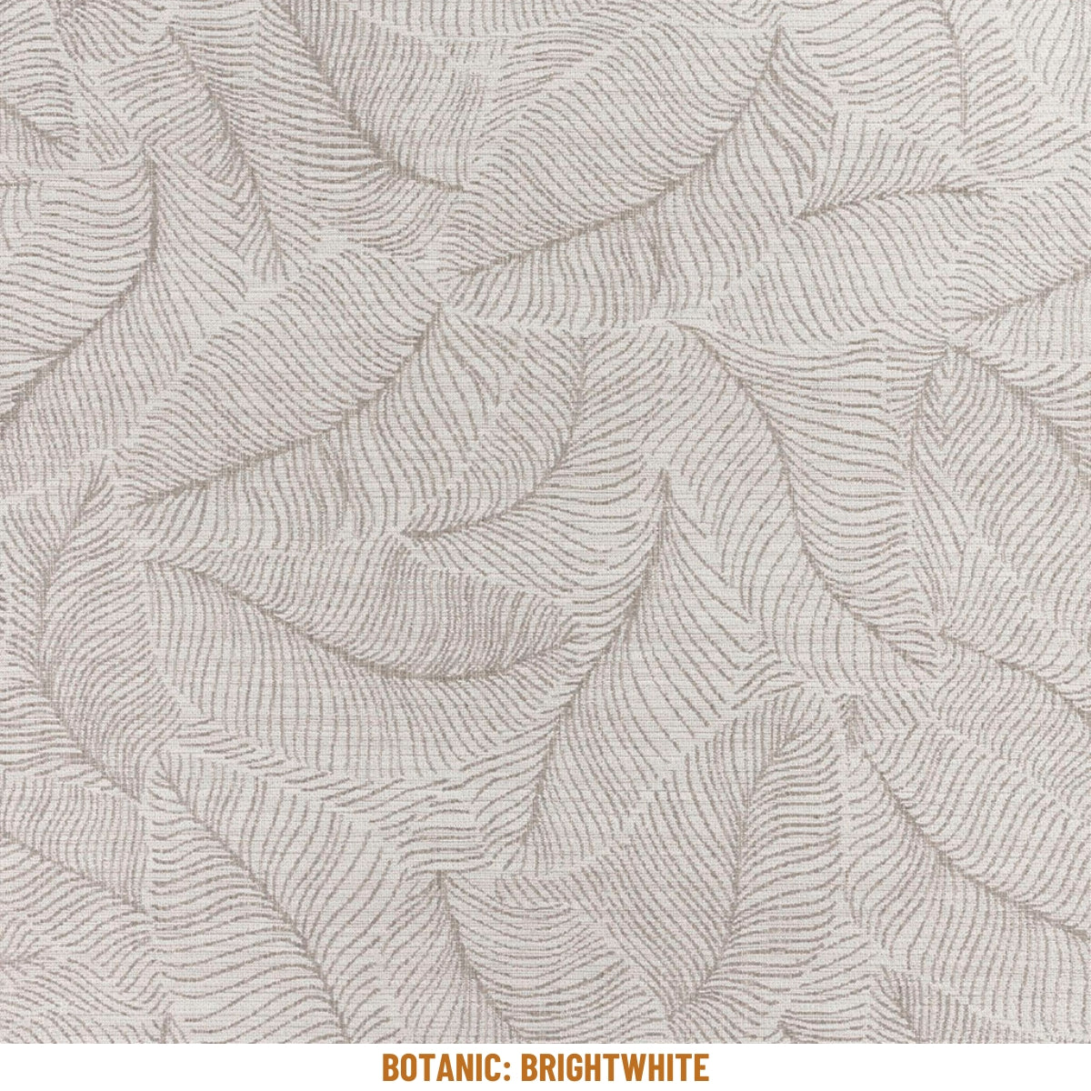 Botanic Rug-Limited Edition-moderndesign.io