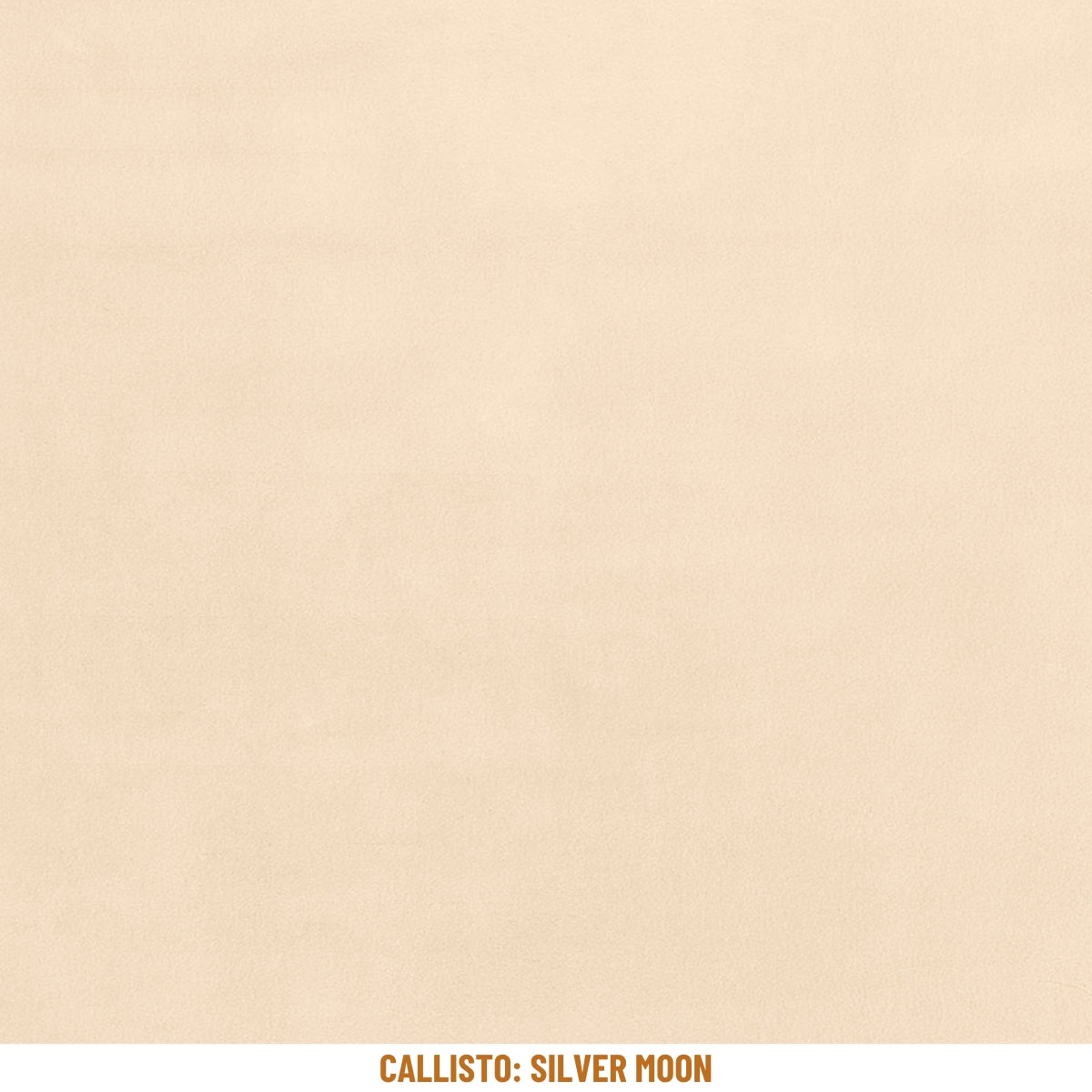 Callisto Rug-Limited Edition-moderndesign.io