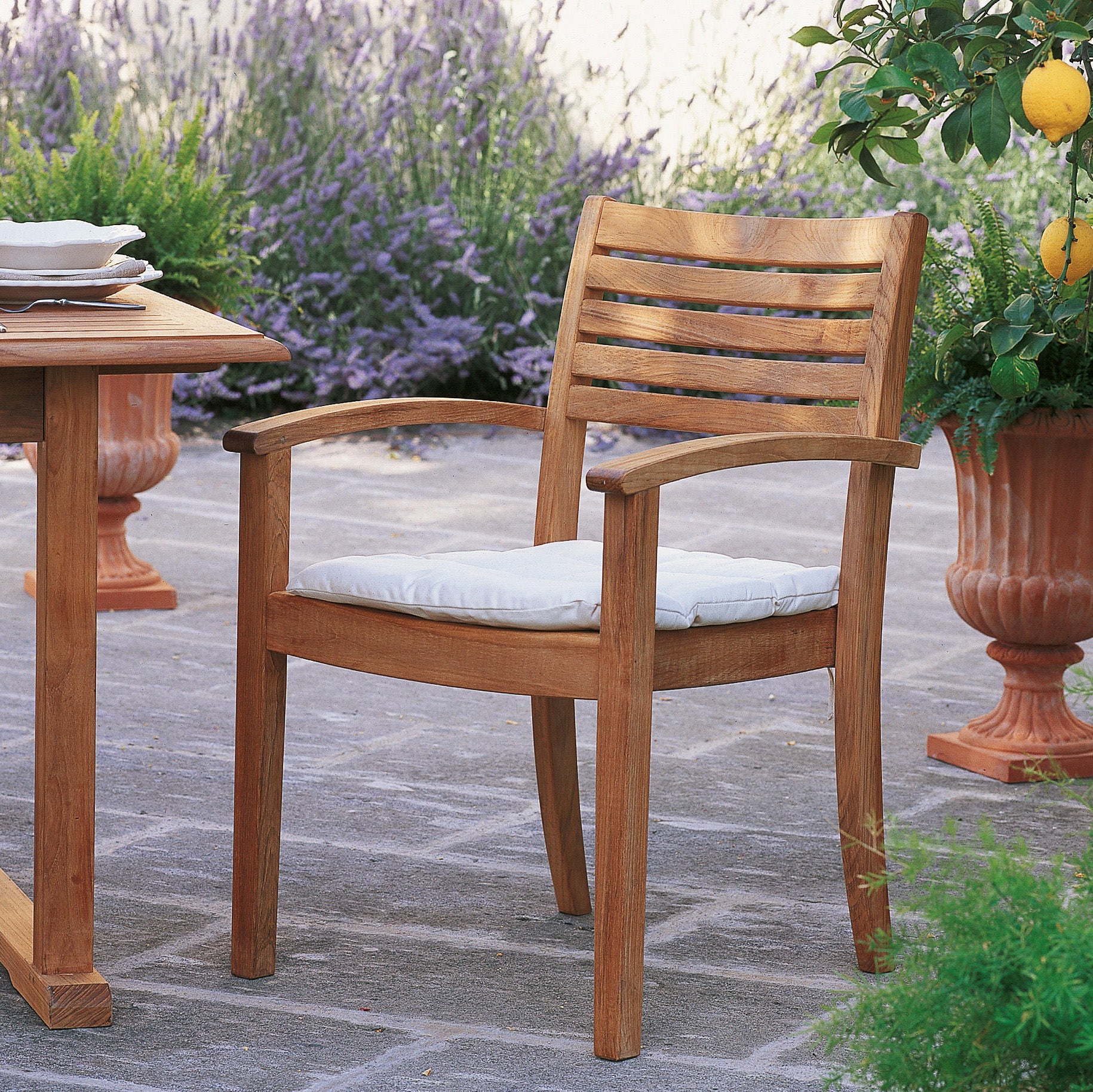 Chelsea Dining Chair (With Arms)-Unopiu-moderndesign.io