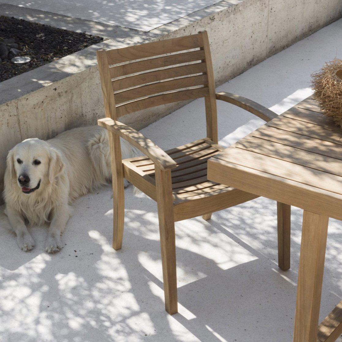 Chelsea Dining Chair (With Arms)-Unopiu-moderndesign.io