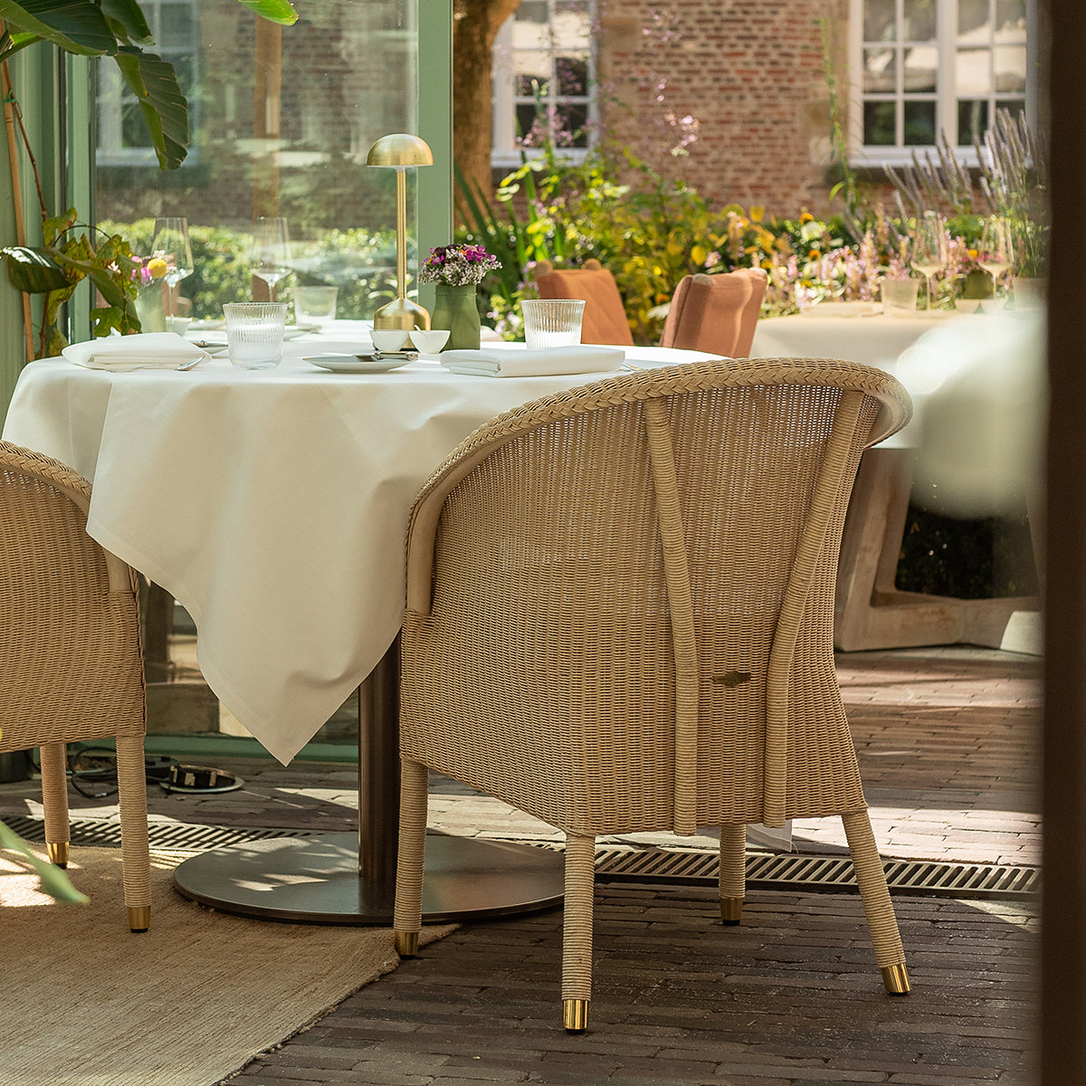Chester Dining Chair (with arms)-Vincent Sheppard-moderndesign.io