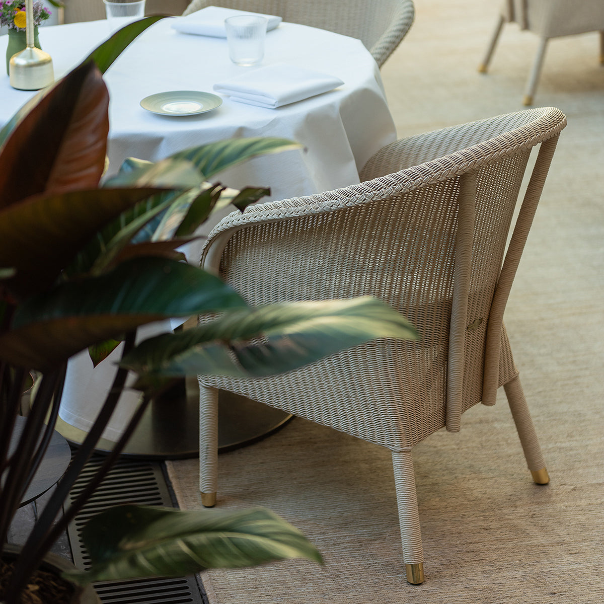 Chester Dining Chair (with arms)-Vincent Sheppard-moderndesign.io