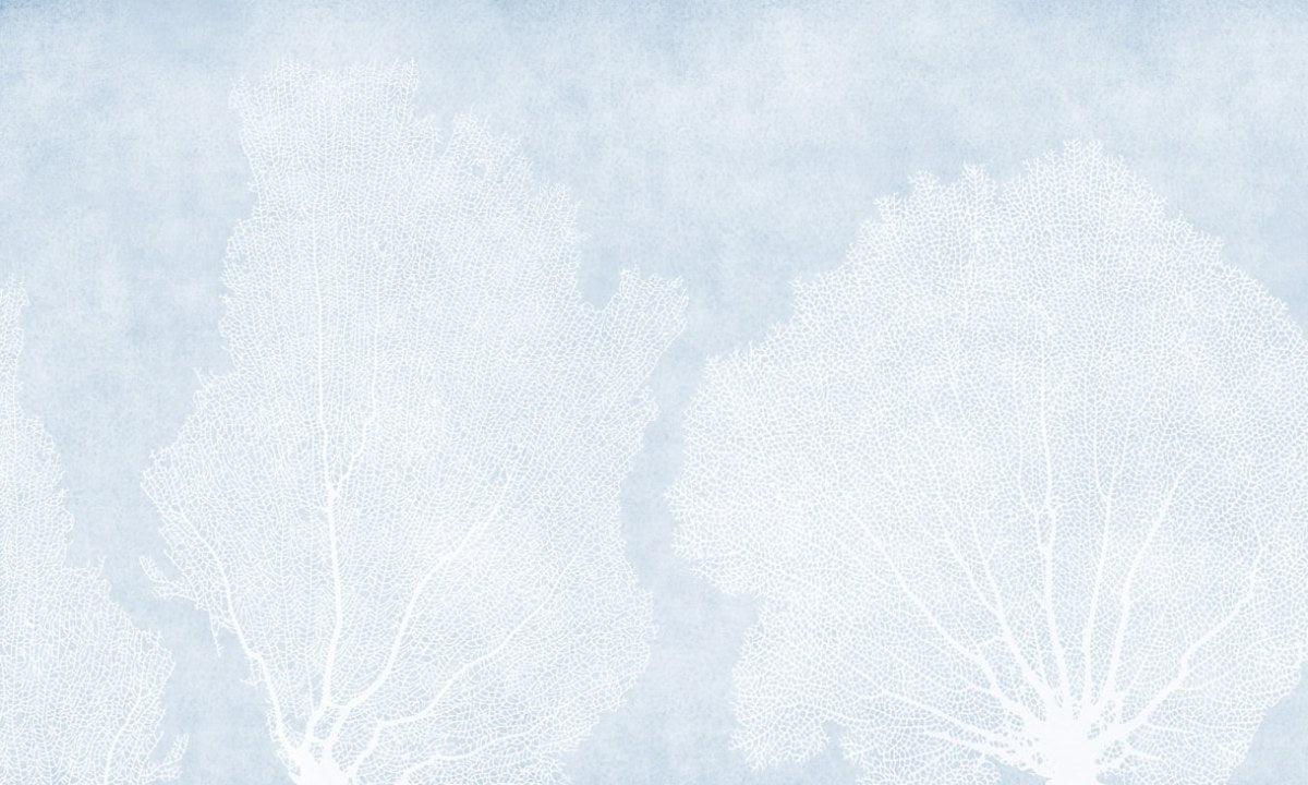 Coral Trees-Spaghetti-moderndesign.io