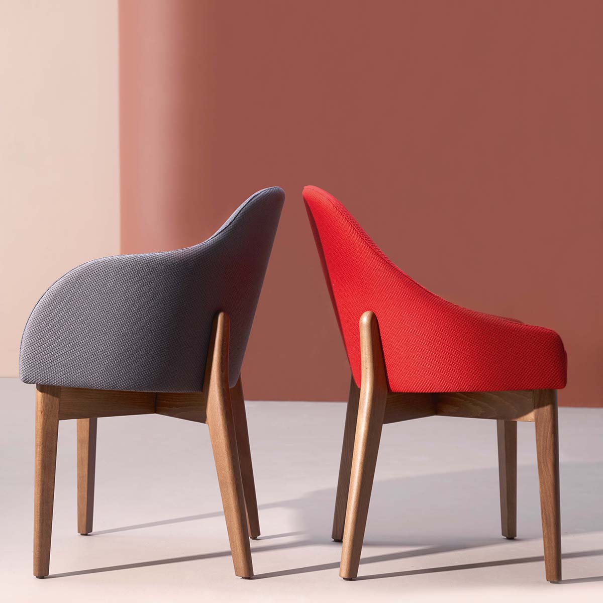 Greta SCL Arm Dining Chair (With Arms)-Accento-moderndesign.io