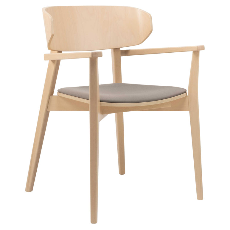 Hellen Plus PO Dining Chair (With Arms)-New Life-moderndesign.io
