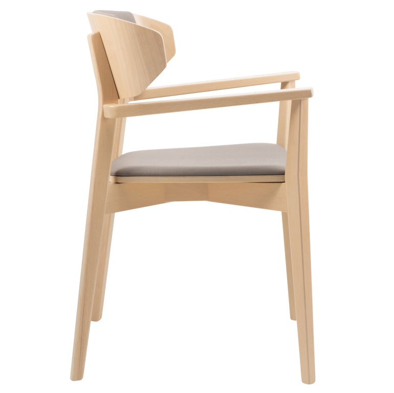 Hellen Plus PO Dining Chair (With Arms)-New Life-moderndesign.io