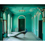 The Queen Room 2-Inkiostro Bianco-moderndesign.io