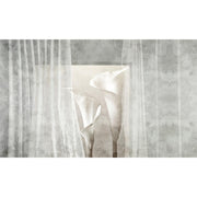 Light Drapery-Skinwall-moderndesign.io
