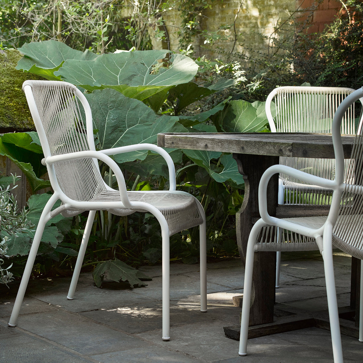 Loop Dining Chair (with arms)-Vincent Sheppard-moderndesign.io