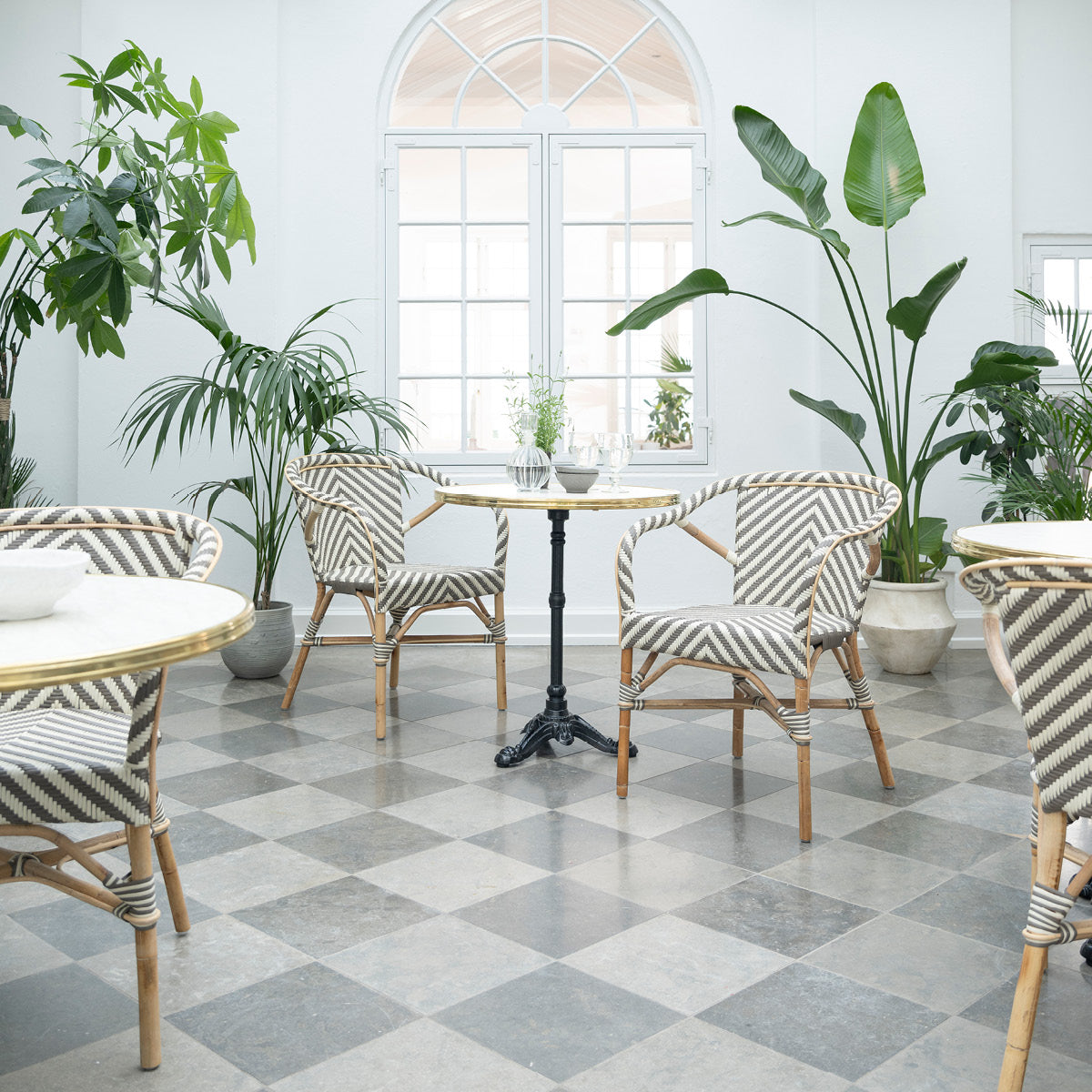 Madeleine Indoor/Outdoor Dining Chair (With Arms)-Sika Design-moderndesign.io