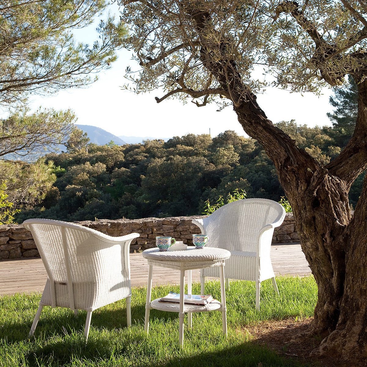 Monte Carlo Dining Chair (with arms)-Vincent Sheppard-moderndesign.io