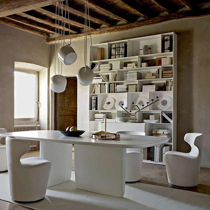 Papilio Dining Chair (without Arms)-B&B Italia-moderndesign.io