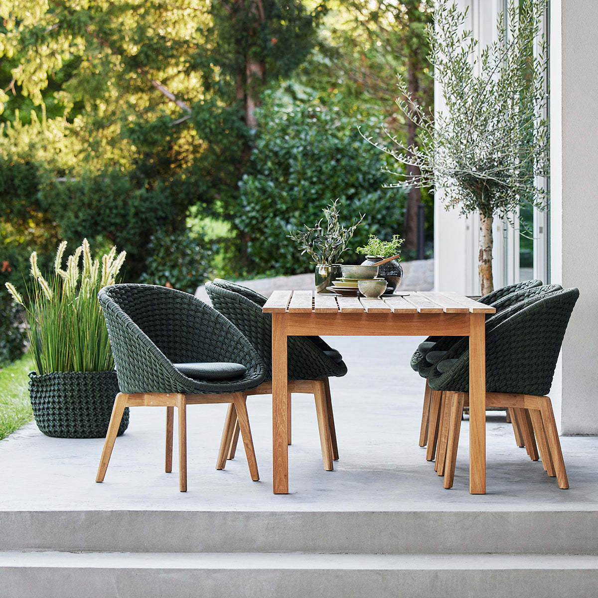 Peacock 5454 Dining Chair (without arms)-Cane-Line-moderndesign.io