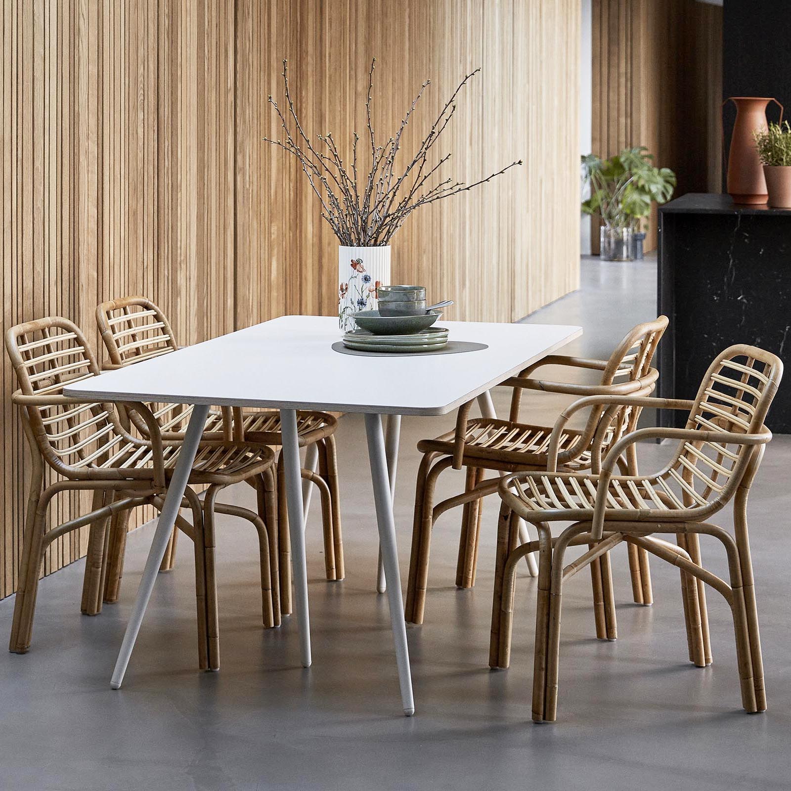 Peak 7451 Dining Chair (with arms)-Cane-Line-moderndesign.io
