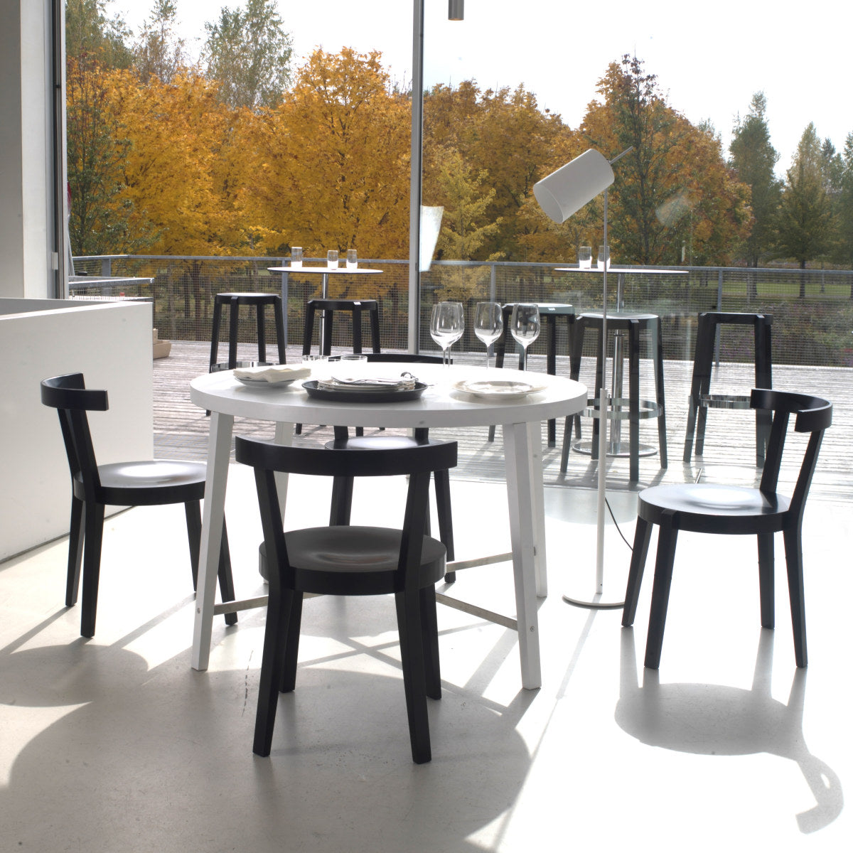 Punton Dining Chair (without arms)-Ton-moderndesign.io