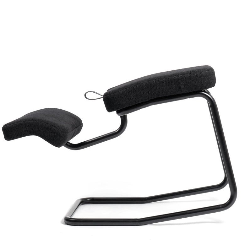 Reversal Dining Chair (Without Arms)-Tecta-moderndesign.io