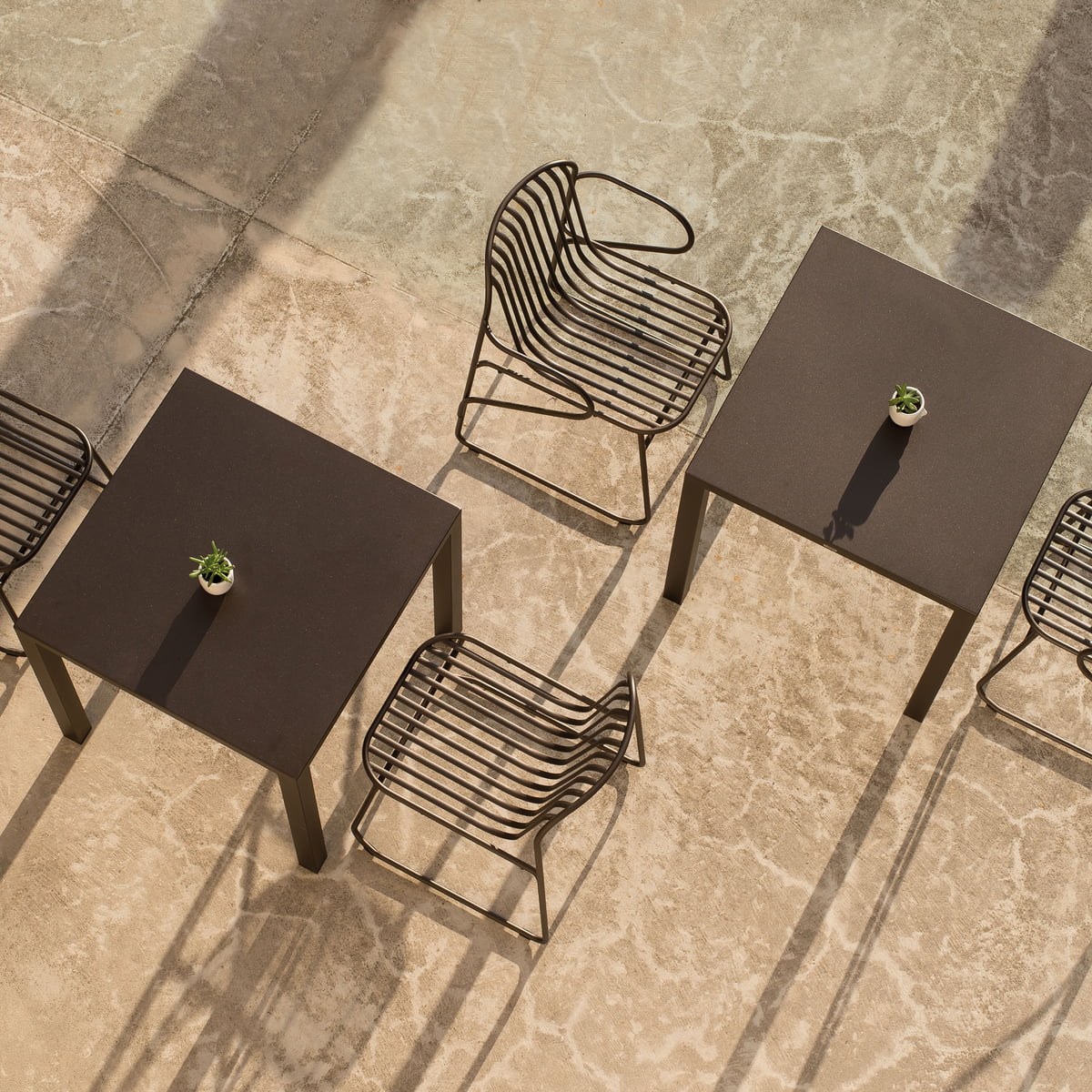 Riviera Dining Chair (With Arms)-Emu-moderndesign.io