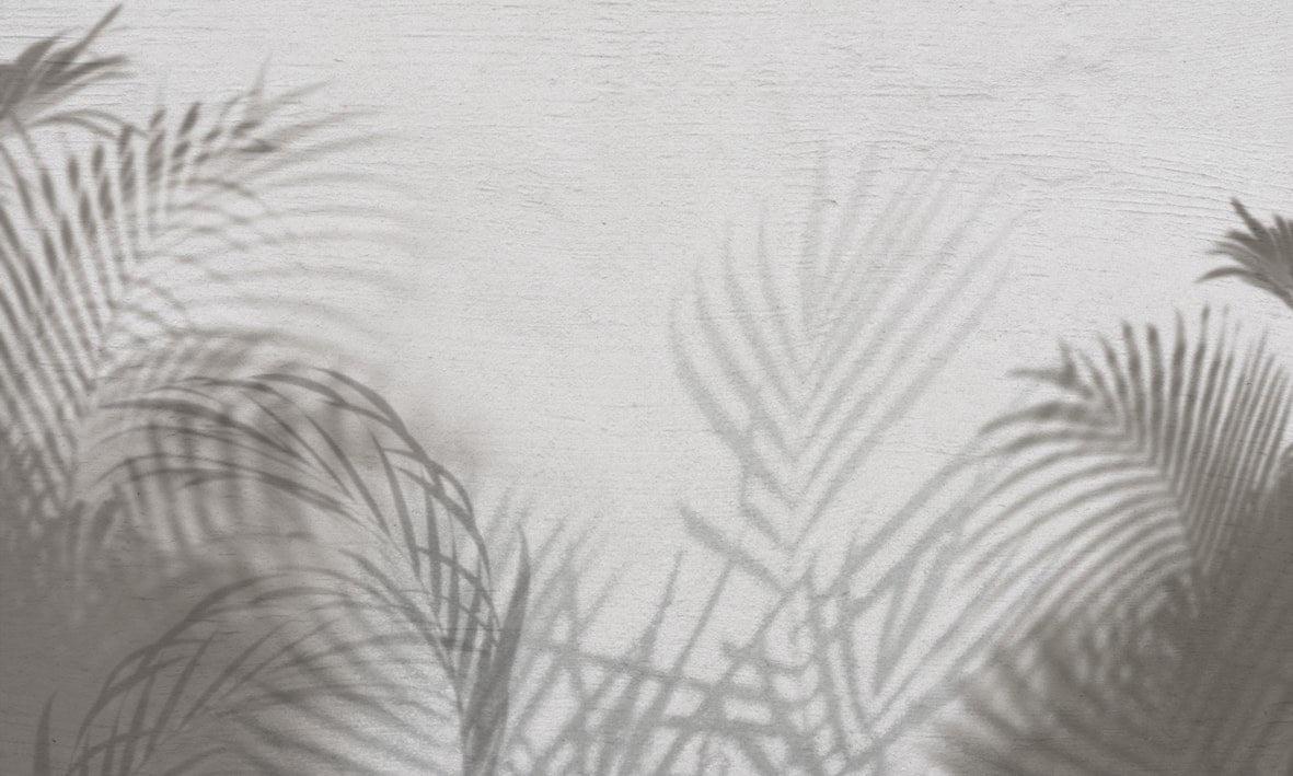 Shadows-Spaghetti-moderndesign.io