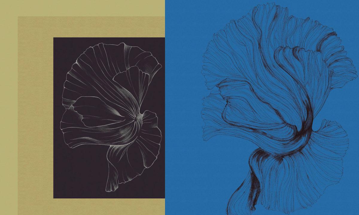 Ephemeral Archive-Spaghetti-moderndesign.io