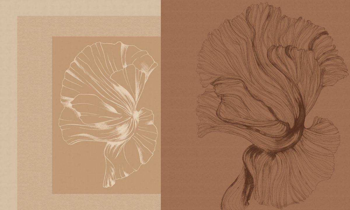 Ephemeral Archive-Spaghetti-moderndesign.io