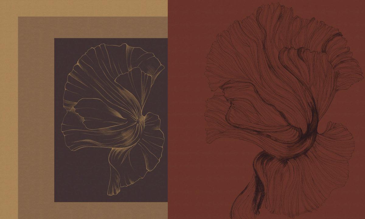 Ephemeral Archive-Spaghetti-moderndesign.io