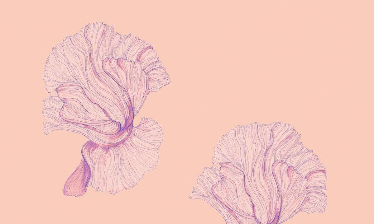 Flower Clouds-Spaghetti-moderndesign.io