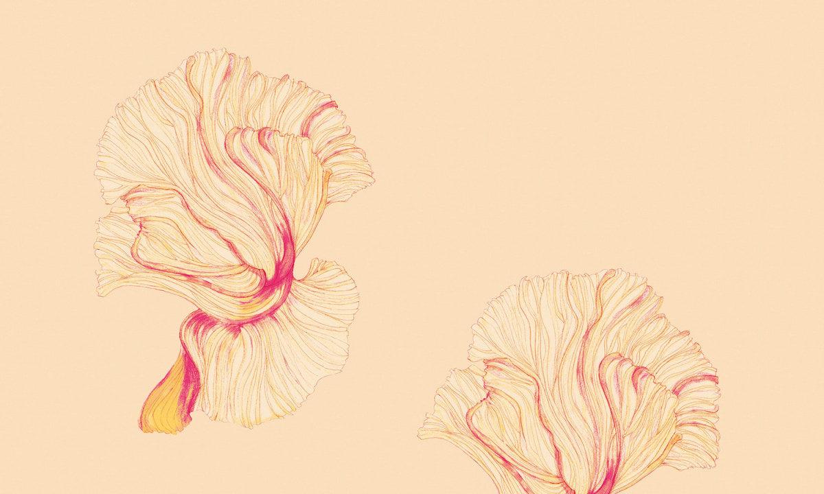 Flower Clouds-Spaghetti-moderndesign.io