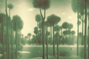 Palm Springs-Spaghetti-moderndesign.io