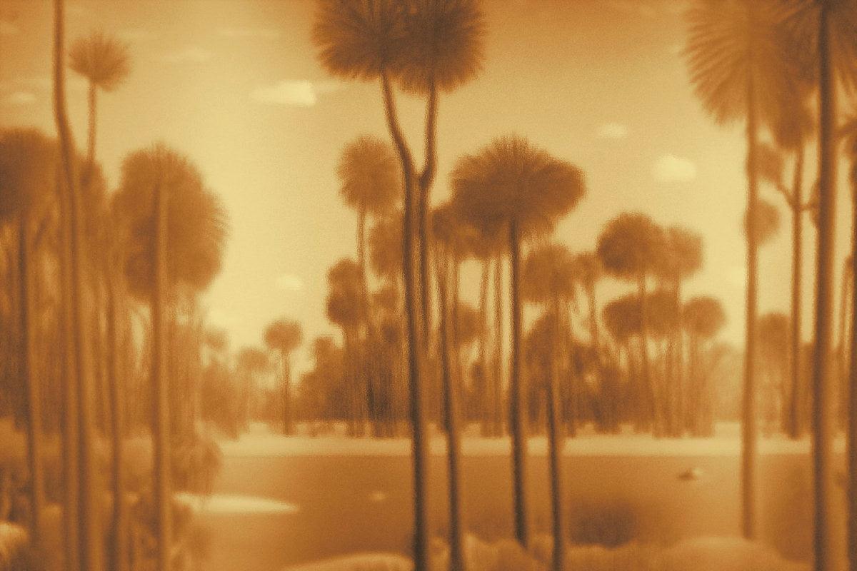 Palm Springs-Spaghetti-moderndesign.io