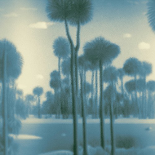 Palm Springs-Spaghetti-moderndesign.io