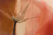 Silky Flora-Spaghetti-moderndesign.io