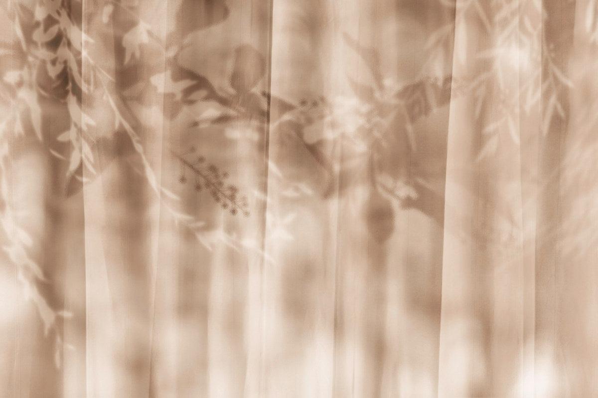 Sun and Shadow-Spaghetti-moderndesign.io