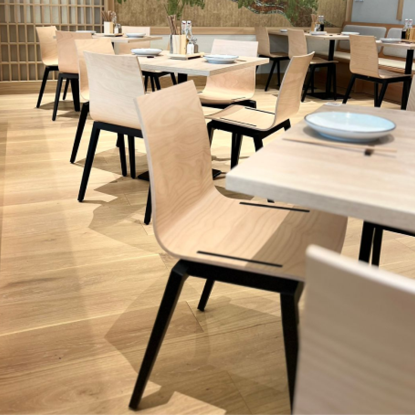 Stockholm Dining Chair (without arms)-Ton-moderndesign.io
