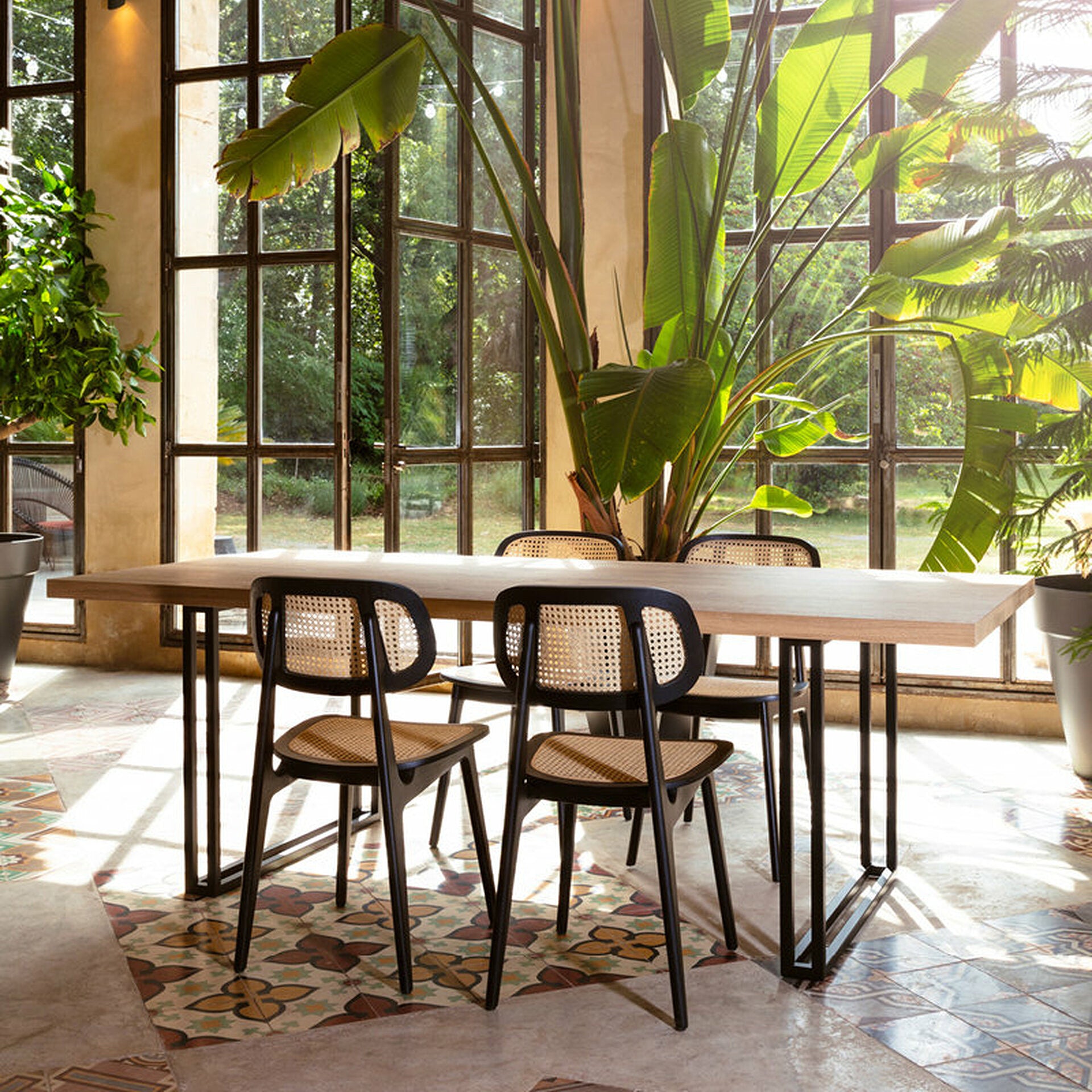 Titus Dining Chair (without arms)-Vincent Sheppard-moderndesign.io