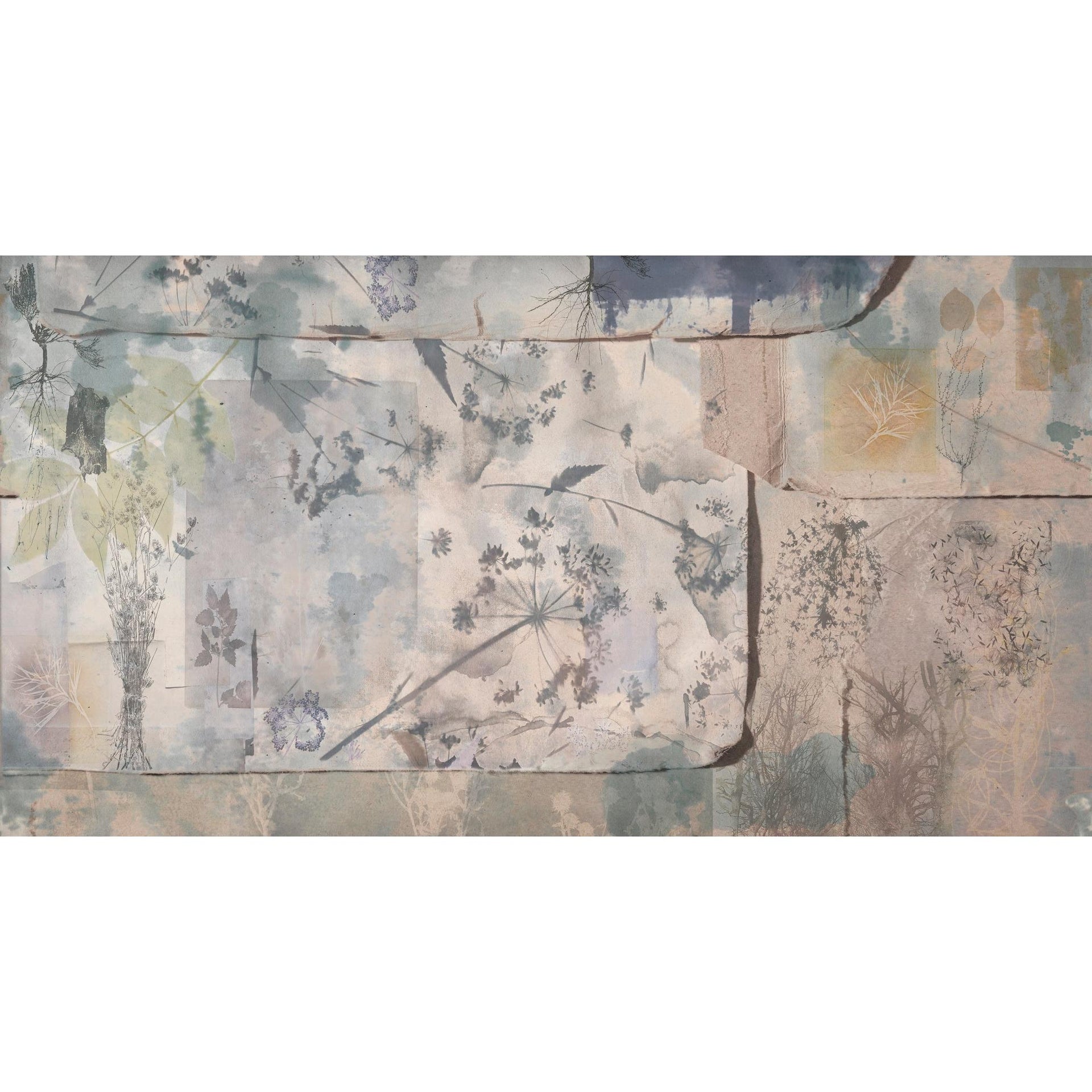 Hortorium-Wall&deco-moderndesign.io
