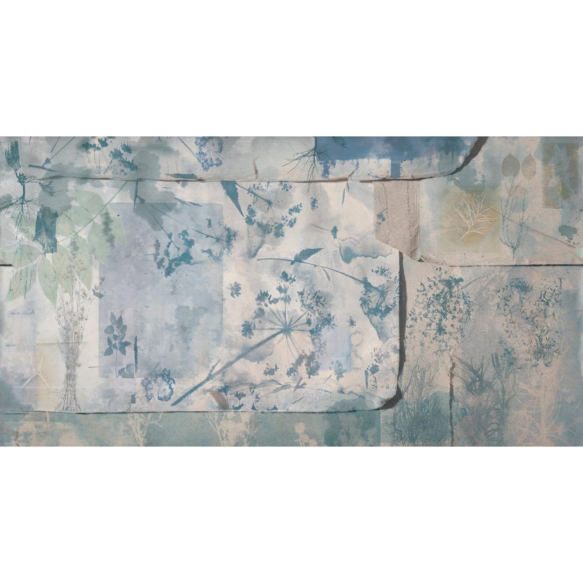 Hortorium-Wall&deco-moderndesign.io