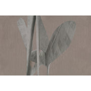 POETICO-Wall&deco-moderndesign.io