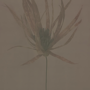 TRANSLUCIDO-Wall&deco-moderndesign.io