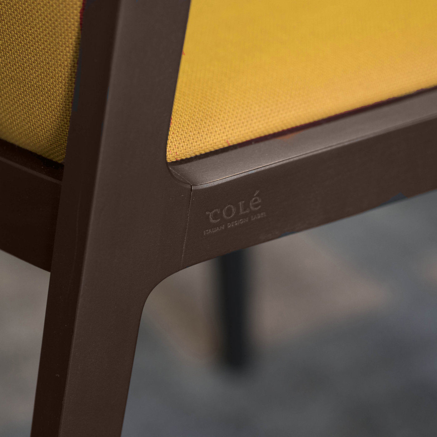 Vienna Soft Dining Chair (with arms)-Cole-moderndesign.io