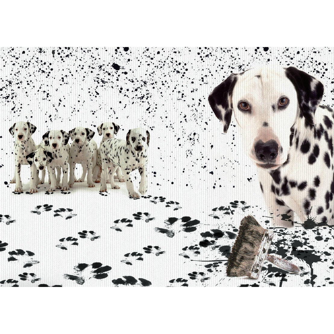 Dalmata Pasticcione-Wallpepper-moderndesign.io